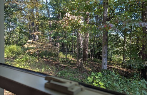Winston - Salem Cottage | Charming cottage in Winston-Salem with WiFi and AC