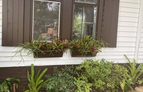 Rutherfordton House | CHARMING DOWNTOWN HISTORIC HOME IN THE HEART Of IT ALL!!