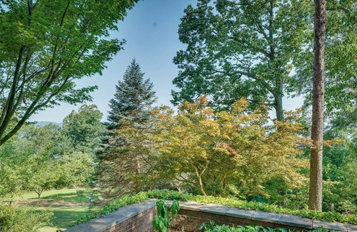 Bostic Cabin | Charming Ellenboro Cabin on 12 Acres w/ Courtyard!