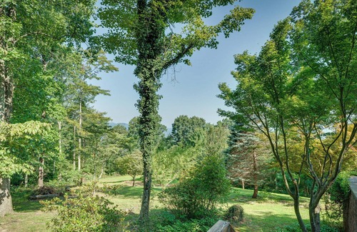 Bostic Cabin | Charming Ellenboro Cabin on 12 Acres w/ Courtyard!