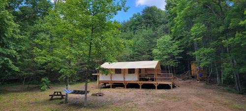 Lenoir Other | Charming enclave Luxury tent in the woods Tent 3 Bambi's playground