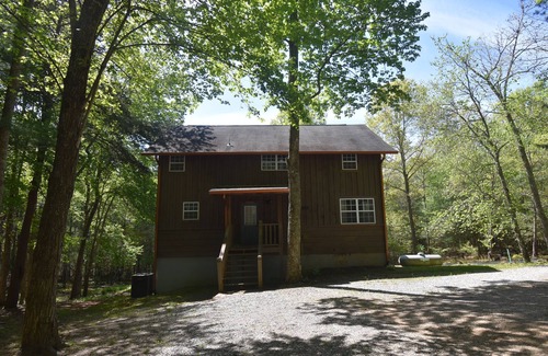 Blairsville Cabin | Charming home lined by trees with a large deck, grill, firepit, & pool table