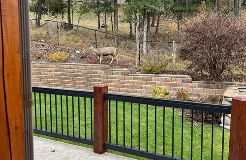 East Kootenay House | Charming Home Near Ski Resorts, Golf Courses & Beautiful Lake Views