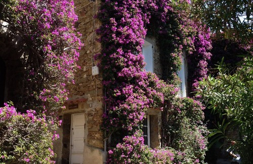 Bormes-Les-Mimosas Cottage | Charming Medieval Cottage in the Heart of Village