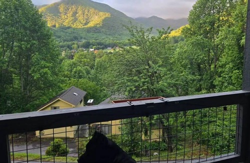 Valley Creek Run House | Charming Mountain Retreat in Maggie Valley