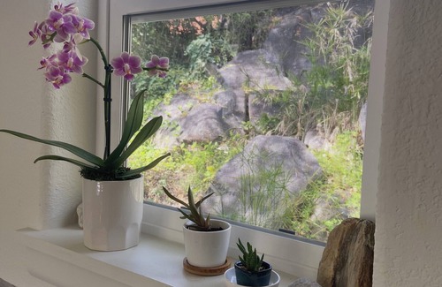Three Rivers Apartment | Charming private studio on the river and gateway to Sequoia National Park.