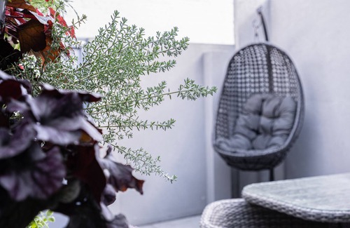 South Melbourne Cottage | Charming South Melbourne terrace PRIVATE BACKYARD