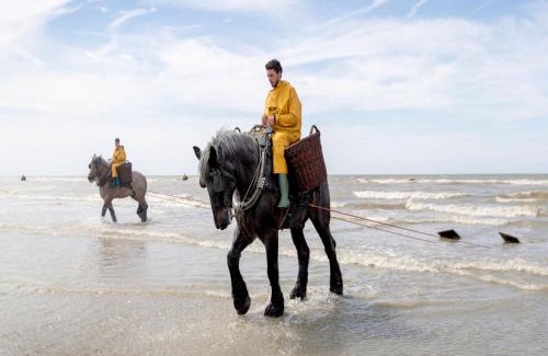 Koksijde Ski Chalet | Charming Stay by the Dunes, cleaning included