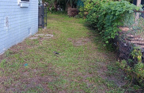 Jacksonville Apartment | Charming studio apartment downtown Jacksonville
