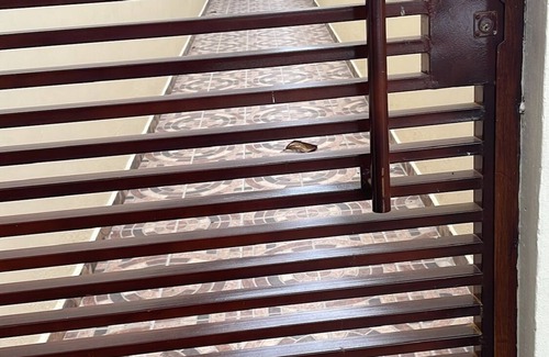 Choloma Apartment | Charming studio in marvelous Choloma with AC, WiFi