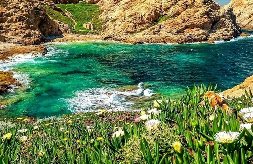 Casamozza House | Charming T2 between sea and mountain