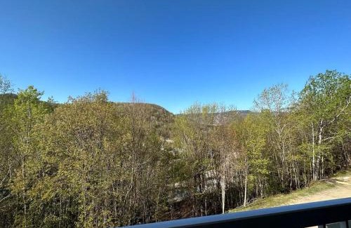 Mont-Tremblant Village Apartment | Charming Tremblant 1 Bedroom -Pool Hot Tub
