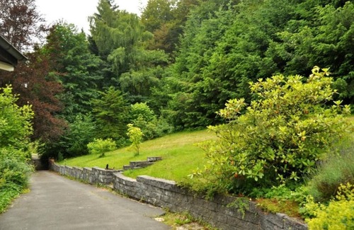 Brilon-Wald Villa | Charming Villa On The Forest In Brilon Wald (12 pp 200+ m2) close to Willingen