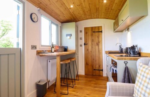 Oswestry House | Charollais