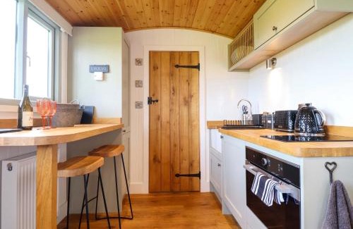 Oswestry House | Charollais