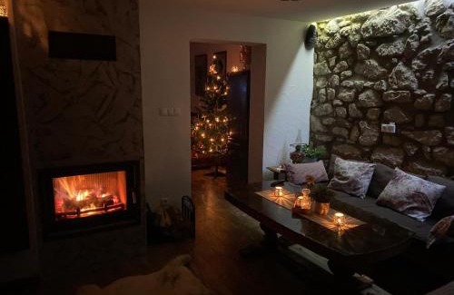 Kamenec pod Vtacnikom House | Chata Brús