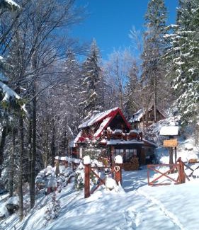 Ruzomberok Cabin | Chata u sovicky Malino Brdo