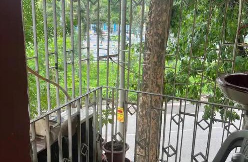 Phool Bagan House | Chaudhary's Nest