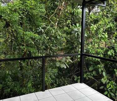 Katira Other | Chava Lodge On Tenorio Rio Celeste