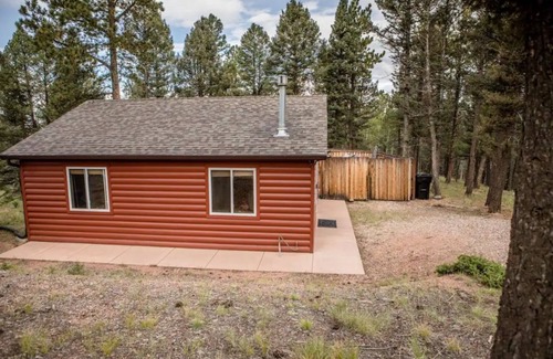 Florissant Cabin | Cheerful 1-bedroom cabin with hot tub
