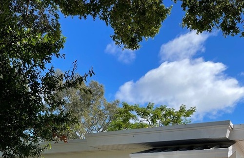 Gandy House | Cheerful 2 bed minutes to Downtown St Pete & Tampa