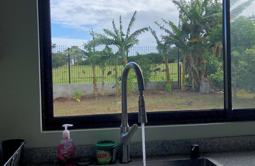Tilaran Cottage | Cheerful Countryside Cottage