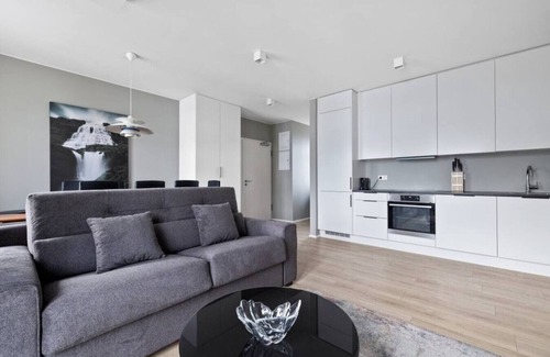 Hliðar Apartment | Cheerful Down Town Apartment