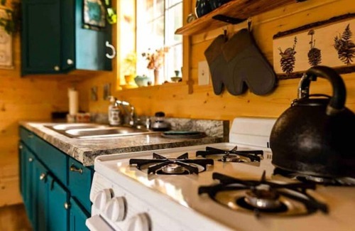 Fairbanks Cabin | Chena Hot Springs Off Grid Cabin