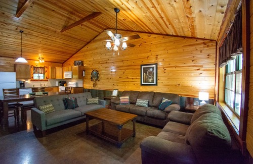 Board Camp Cabin | Cherokee Trail|18Acres|Private Creek|Swim|Hiking|ATV Trails|Mtn Cabin