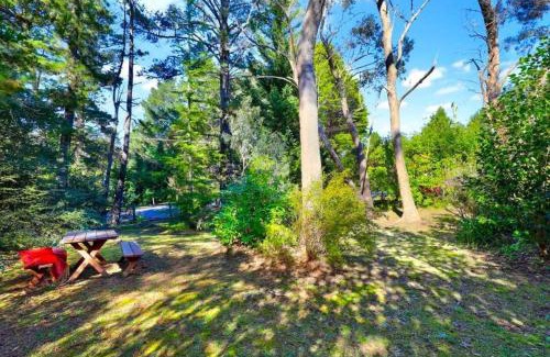 Leura House | Cherry Tree Cottage