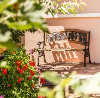 Breitenbach-Haut-Rhin Apartment | Chez Christian