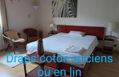 Varces-Allieres-et-Risset House | Chez Claire - Immense chambre, salle de bain indépendante réservée aux voyageurs, quartier calme, parking gratuit dans cour fermée