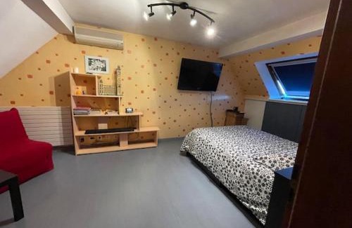 La Wantzenau Apartment | Chez HUBERT