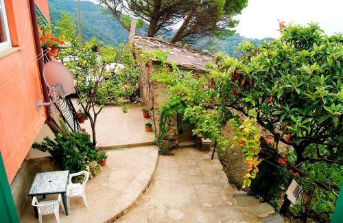 Vernazza Apartment | Chez Il Pino Vernazza vista mare