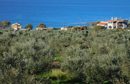 Riglia House | CHEZ KOUROUPAKIS