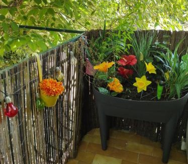Ales House | Chez Marie