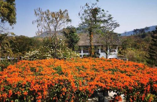 Wang Nam Khiao Resort | Chez Piera Resort