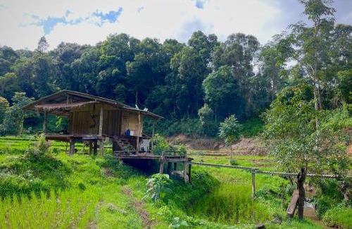 Samoeng House | Chibacall ชิบะคอล, Chiang Mai Hideaway Homestay