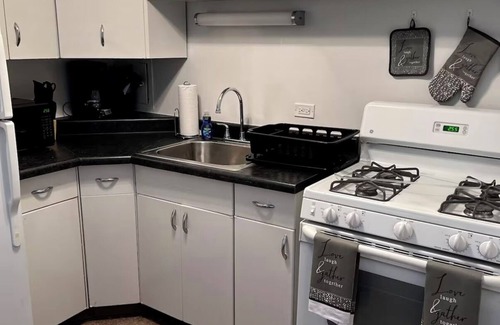 Douglas Apartment | Chic 1-bedroom apartment in brilliant Chicago with WiFi, AC, fitness room