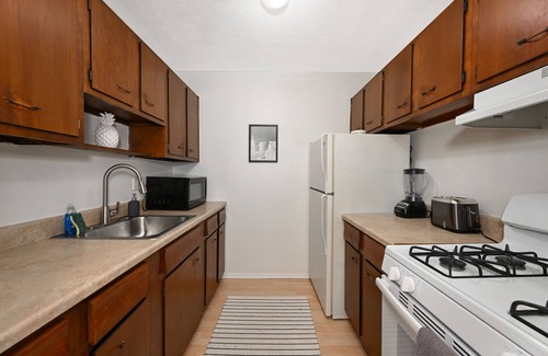 Mentor Apartment | Chic 1Bd Excellent for Professionals