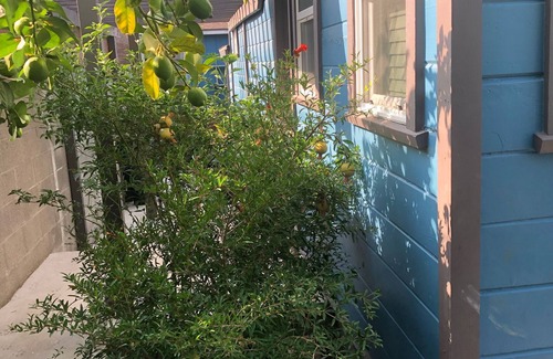 Altadena House | Chic 1Bedroom/bathroom with Private Entrance in Altadena/Share Home.