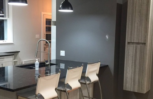 Desjardins House | Chic et jolie maison avec SPA, cour privé, BBQ, salle de bain de luxe