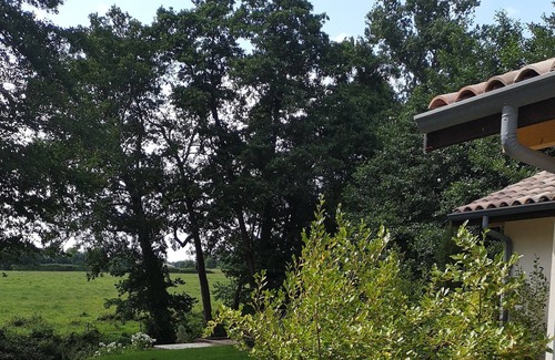 Saint-Sulpice-et-Cameyrac Cottage | Chic and romantic cabin between Bordeaux and Saint Emilion "MUSCADELLE"