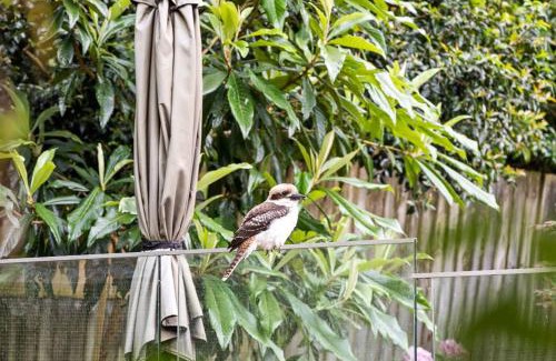 Pymble House | Chic Single Room - Convenient Spot at Pymble - Shared Bathroom
