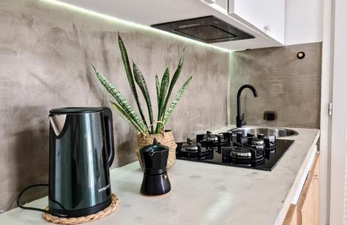 Sal Rei Apartment | Chic Surf-Inspired Mezzanine Studio "Coco Palm"