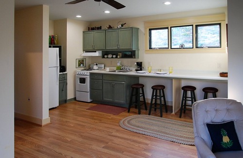 Hendersonville House | Chimney Rock area , private & a treetop view,1 bedroom house with washer/dryer
