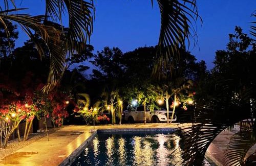 La Banda de Shilcayo Apartment | CHOCLINO ECOLODGE -Bungalows con Piscina privada, Mirador y Tours en la selva