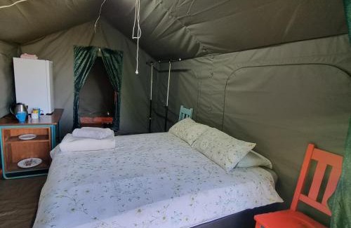 Graskop Other | Chosen Glamping Tents
