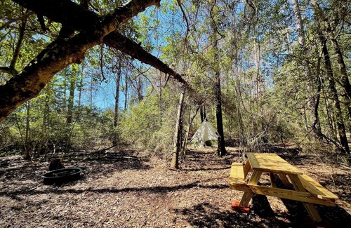 Cantonment RV Rental | Christian Retreat Campsite #2 - Cozy Canopy