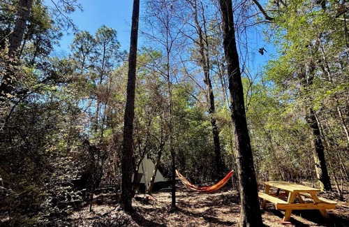 Cantonment RV Rental | Christian Retreat Campsite #4 - Naty's Nest